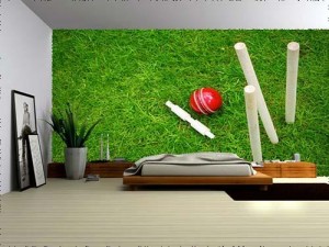 Cricket Ball on Pitch