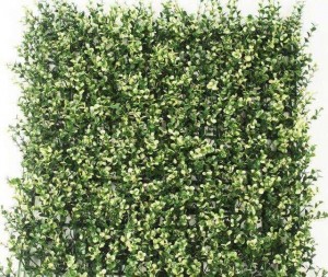 Green Yellowish Leaves for Vertical Garden 50 cm X 50 cm (2.78 Sq.ft) (3300 - M) (Pack of 3)