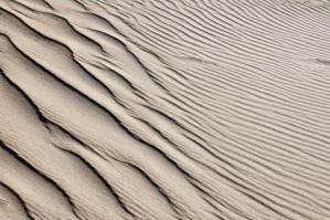 Background From a Sand Dune